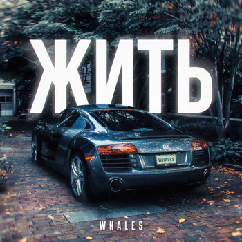 Whales - ЖИТЬ