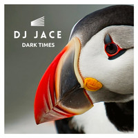 DJ Jace - Dark Times