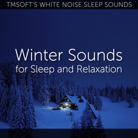 Tmsoft's White Noise Sleep Sounds - Winter Sounds for Sleep and Relaxation