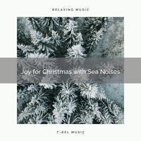 Ocean Sounds, Soothing Nature Sound - Joy for Christmas with Sea Noises