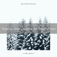 Christmas White Noise, Happy Christmas Music - Prosperity Under a Mistletoe with Relieving Tunes