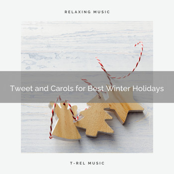 Animal and Bird Songs, Nature Music Nature Songs - Tweet and Carols for Best Winter Holidays