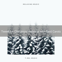 White Noise Research, Endless Relax - Tweet for Christmas Holidays with Best Carols