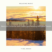 Epic Soundscapes, Total Relax - Merry are Christmas with Classics and Relaxing Wild Birds Tweets