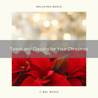 Animal and Bird Songs, Nature Music Nature Songs - Tweet and Classics for Your Christmas