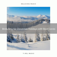 Sounds of Nature Relaxation, Sleep Noise - Birds Sing for Christmas Holidays with Best Carols