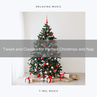 Calming Sounds, Nature Songs Nature Music - Tweet and Classics for Perfect Christmas and Nap