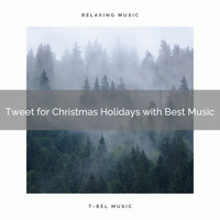 Epic Soundscapes, Total Relax - Tweet for Christmas Holidays with Best Music