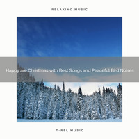 Sounds of Nature Relaxation, Sleep Noise - Happy are Christmas with Best Songs and Peaceful Bird Noises