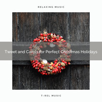 Calming Sounds, Nature Songs Nature Music - Tweet and Carols for Perfect Christmas Holidays
