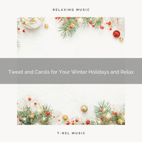 Calming Sounds, Nature Songs Nature Music - Tweet and Carols for Your Winter Holidays and Relax