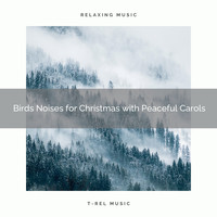 Epic Soundscapes, Total Relax - Birds Noises for Christmas with Peaceful Carols