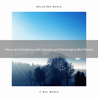 Sounds of Nature Relaxation, Sleep Noise - Merry are Christmas with Classics and Recharging Bird Noises