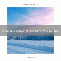 White Noise Research, Endless Relax - Tweet and Carols for Best Christmas and Nap