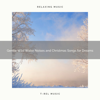 Water Sound Natural White Noise - Gentle Wild Water Noises and Christmas Songs for Dreams