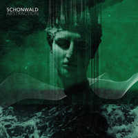 Schonwald - Abstraction