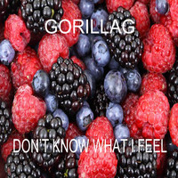 Gorillag - Don't Know What I Feel