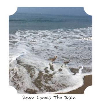 Various Artists - Down Comes the Rain