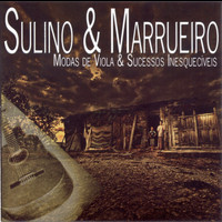 Sulino & Marrueiro - Modas de Viola e Sucessos Inesquecíveis