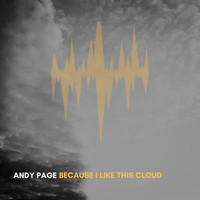 Andy Page - Because I Like This Cloud (Explicit)