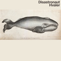 Disastronaut - Hvaler