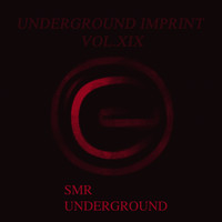 Mr. Guelo - Underground Imprint Vol.XIX