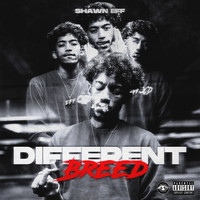 Shawn Eff - Different Breed (Explicit)