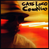Gato Loco - Coconino