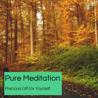 Spiritual Sound Clubb - Pure Meditation - Precious Gift For Yourself