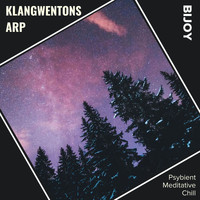 Bijoy - Klangwentons Arp (Psybient Meditative Chill)