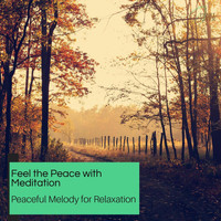 Spiritual Sound Clubb - Feel The Peace With Meditation - Peaceful Melody For Relaxation