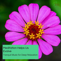 Serenity Calls - Meditation Helps Us Evolve - Tranquil Music For Deep Relaxation