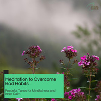 Dr. Yoga - Meditation To Overcome Bad Habits - Peaceful Tunes For Mindfulness And Inner Calm