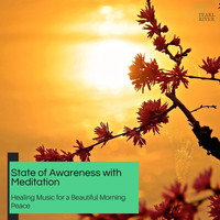 Serenity Calls - State Of Awareness With Meditation - Healing Music For A Beautiful Morning Peace