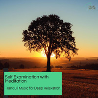 Zen Town - Self Examination With Meditation - Tranquil Music For Deep Relaxation