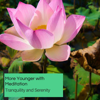 Mystical Guide - More Younger With Meditation - Tranquility And Serenity
