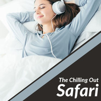 Kastor - The Chilling Out Safari