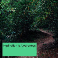 Ambient 11 - Meditation Is Awareness