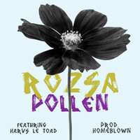 Rozsa (feat. Harvs Le Toad) - Pollen