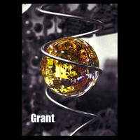 Grant - Skirr