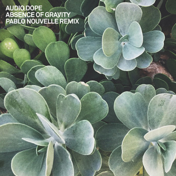 Audio Dope - Absence of Gravity (Pablo Nouvelle Remix)