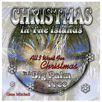 Gene Mitchell - Christmas In the Islands
