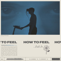 Zuli Jr. - How to Feel