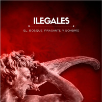 Ilegales - El Bosque Fragante y Sombrío