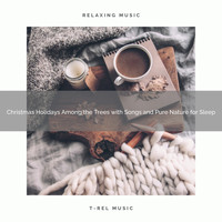 Nature Sounds, Sleepful Noises - Christmas Holidays Among the Trees with Songs and Pure Nature for Sleep