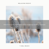 Sleep Sounds of Nature, Sleepful Noises - Winter Forest Sounds and Christmas Classics for Recharge and Winter Dreamland