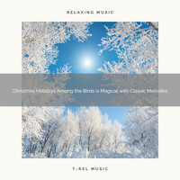 Water Soundscapes, Sleep Noise - Christmas Holidays Among the Birds is Magical with Classic Melodies