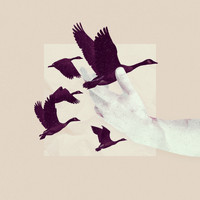 Remood - Birdmanboy