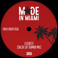 Erich Ensastigue - Llegaste (Salsa Cat Rumba Mix)