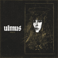 Ulmus - Freyja